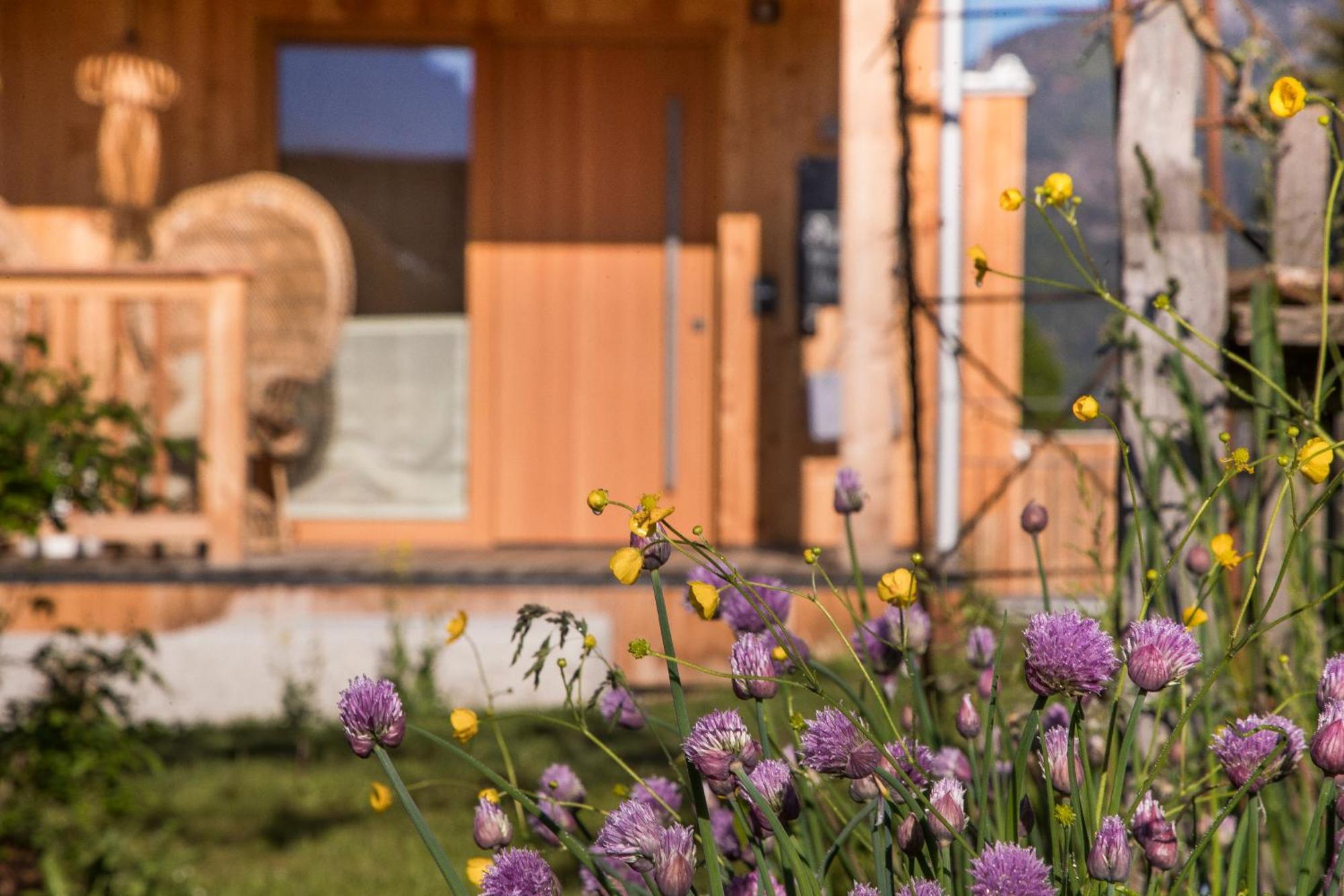 Alpegg Chalets ไวดริง ภายนอก รูปภาพ